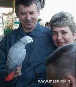 Говорящие птицы [Валерий Дмитриевич Ильичев] (fb2) читать онлайн